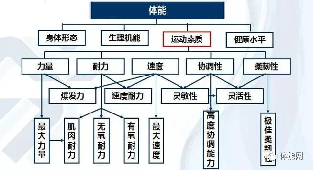 篮球训练教学方法和技巧_1